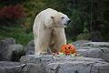 2015-10-22 06-27-00